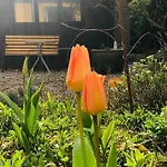 Gelbes Haus Bei Mardorf Am Steinhuder Casa vacanze Rehburg-Loccum