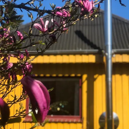Casa vacanze Gelbes Haus Bei Mardorf Am Steinhuder Rehburg-Loccum