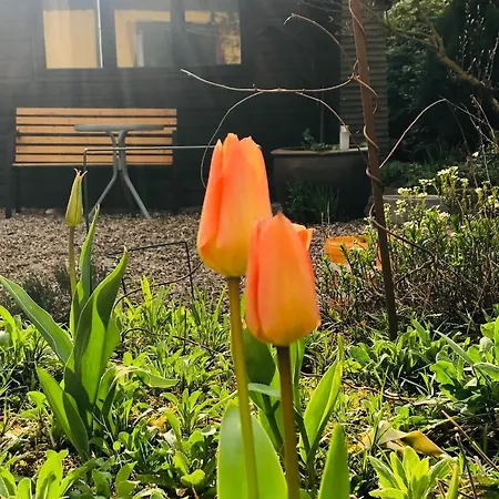 Gelbes Haus Bei Mardorf Am Steinhuder Feriehus Rehburg-Loccum
