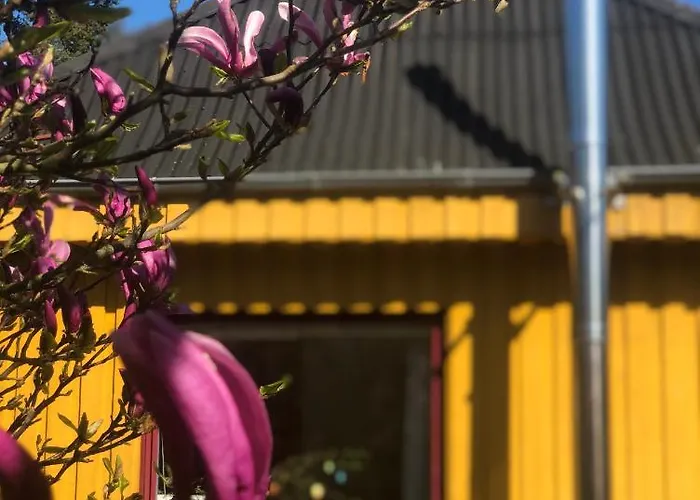 Сasa de vacaciones Gelbes Haus Bei Mardorf Am Steinhuder Rehburg-Loccum