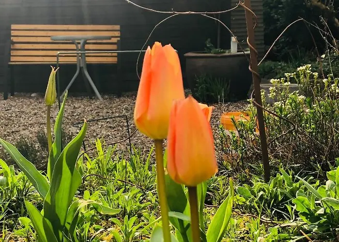 Gelbes Haus Bei Mardorf Am Steinhuder Сasa de vacaciones Rehburg-Loccum